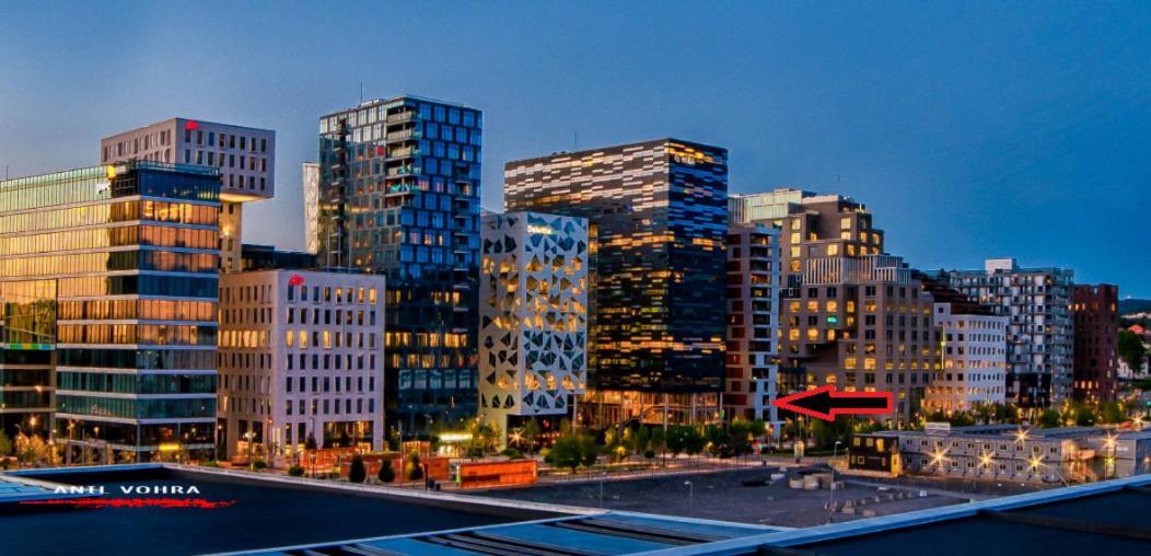 Spacious Modern 3Br Apartment At Central Oslo Barcode Bagian luar foto